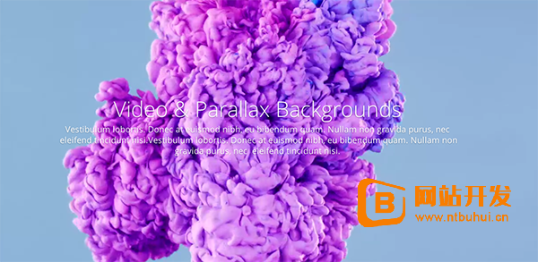 成都程序员创业,网站建设制作,2009年注册第一个公司,却被喷